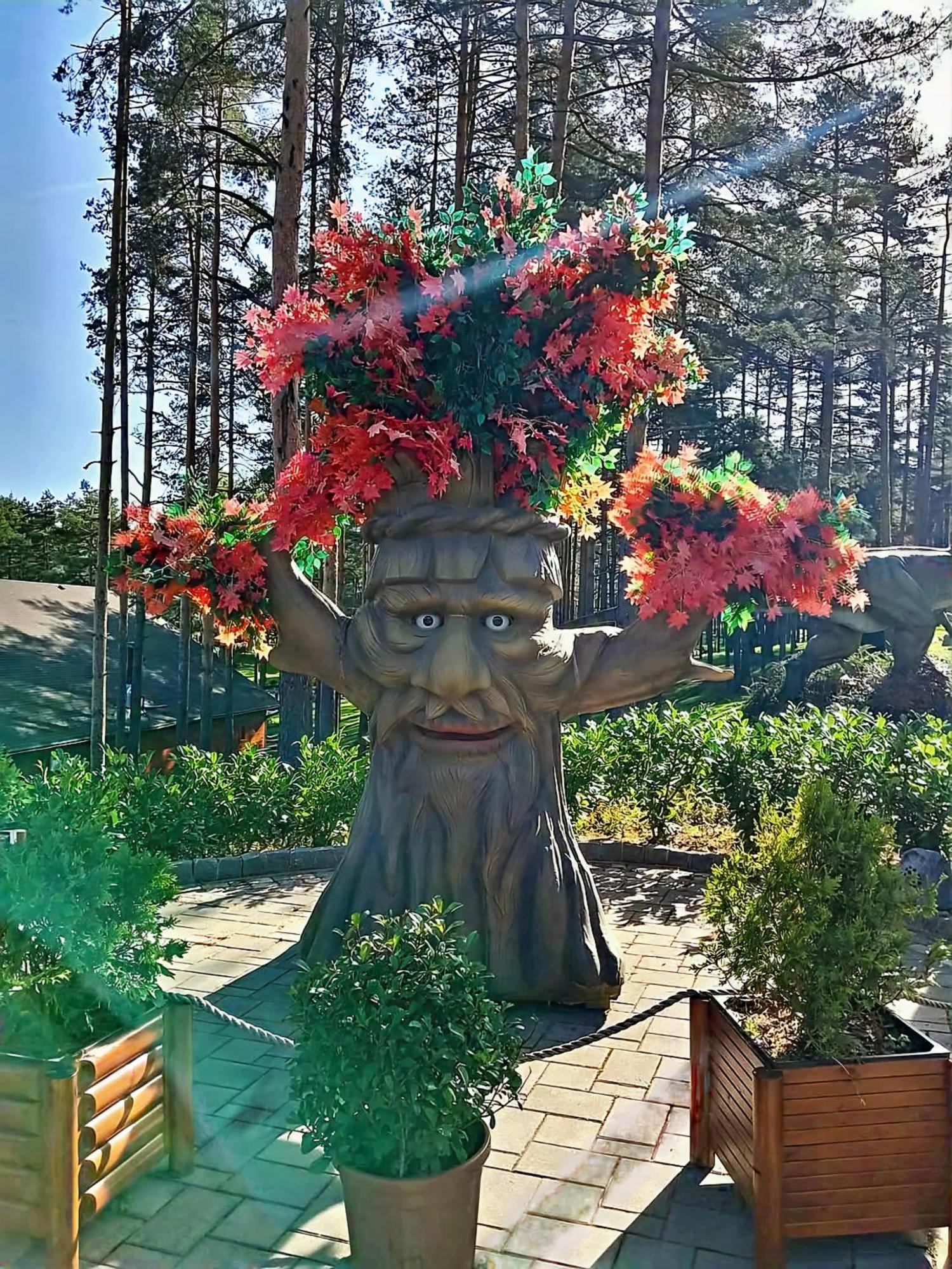 Silver Star Zlatibor Bagian luar foto